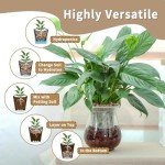 5LB Leca Clay Pebbles for Indoor Plant Growth