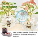 5LB LECA Expanded Clay Pebbles for Hydroponics