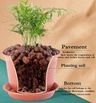 Organic Clay Pebbles for Hydroponics and Indoor Plants