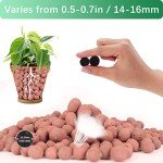 5LB LECA Expanded Clay Pebbles for Hydroponics