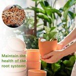 5LB LECA Expanded Clay Pebbles for Hydroponics