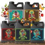 Big Bud Nutrients Kit for Robust Plant Growth