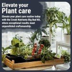 Big Bud Nutrients Kit for Robust Plant Growth