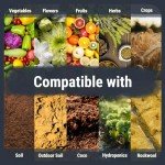 Big Bud Nutrients Kit for Robust Plant Growth