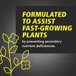 Calcium & Magnesium Solution for Healthy Plants