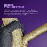 Bloom and Yield Enhancer for Hydroponic Plants