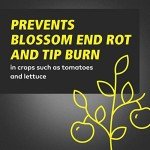 Calcium & Magnesium Solution for Healthy Plants