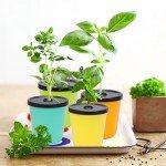 Kiiicii Hydroponic Planter Kit with Growing Sponges