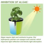 Kiiicii Hydroponic Planter Kit with Growing Sponges