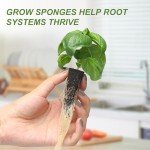 Kiiicii Hydroponic Planter Kit with Growing Sponges