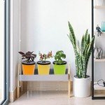 Kiiicii Hydroponic Planter Kit with Growing Sponges