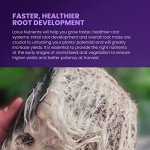 Lotus Nutrients Intro Pack for Hydroponics and Soil