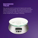 Lotus Nutrients Intro Pack for Hydroponics and Soil