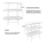 LAPOND 3-Layer Hydroponic Growing System Kit