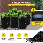 VEVOR 5-Gallon DWC Hydroponic System with Pump