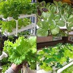 LAPOND 3-Layer Hydroponic Growing System Kit