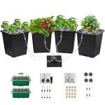 4-Bucket Hydroponic Growing System for Vegetables