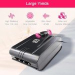 4-Bucket Hydroponic Growing System for Vegetables