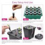 4-Bucket Hydroponic Growing System for Vegetables