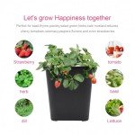 4-Bucket Hydroponic Growing System for Vegetables