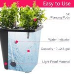 4-Bucket Hydroponic Growing System for Vegetables