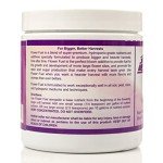 Bloom Booster for Big, Healthy Hydroponic Harvests