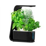 AeroGarden Sprout Hydroponic System with Gourmet Herbs