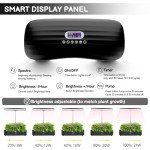 Indoor Hydroponic Growing System with LED Light