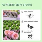 Hydroponics A&B Nutrients for Plant Growth