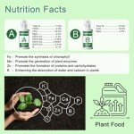 Hydroponics A&B Nutrients for Plant Growth