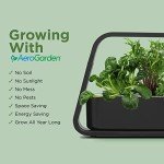 AeroGarden Sprout Hydroponic System with Gourmet Herbs