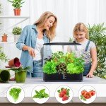 Indoor Hydroponic Growing System with LED Light
