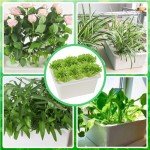 Aunifun DIY Hydroponic Grower Kit with Air Pump