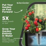AeroGarden Sprout Hydroponic System with Gourmet Herbs