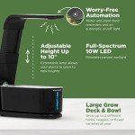 AeroGarden Sprout Hydroponic System with Gourmet Herbs