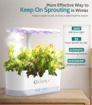 Indoor Hydroponic Herb Garden Kit with Light