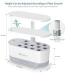 Indoor Hydroponic Herb Garden Kit with Light