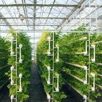 Hydroponic Nutrient System Fertilizer Concentrate Pack