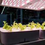 Hydroponic Nutrient System Fertilizer Concentrate Pack