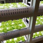 Hydroponic Nutrient System Fertilizer Concentrate Pack