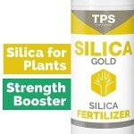 Silica Gold Nutrient Supplement with Bioavailable Silicon