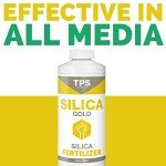 Silica Gold Nutrient Supplement with Bioavailable Silicon