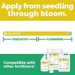 Silica Gold Nutrient Supplement with Bioavailable Silicon