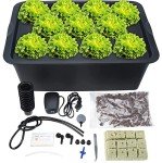 HighFree Deep Water Culture Hydroponic Growing Kit
