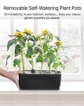 iDOO 20-Pod Indoor Hydroponic Herb Garden System