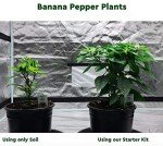 Humboldt's Secret Hydroponic Starter Kit Pack