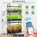 Indoor Hydroponic Garden Kit with LED Grow Light