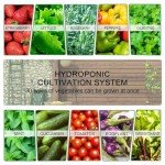 Indoor Hydroponic Vertical Garden System for 30 Plants