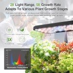 Indoor Hydroponic Garden Kit with LED Light