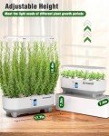 Indoor Hydroponic Gardening System with LED Light
